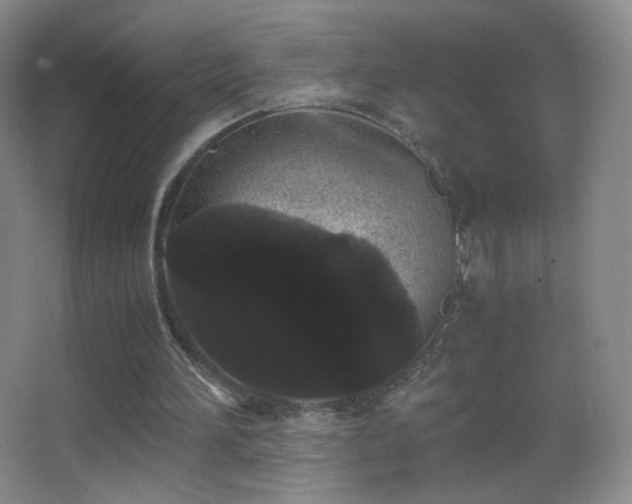 X0000062900196200601131409