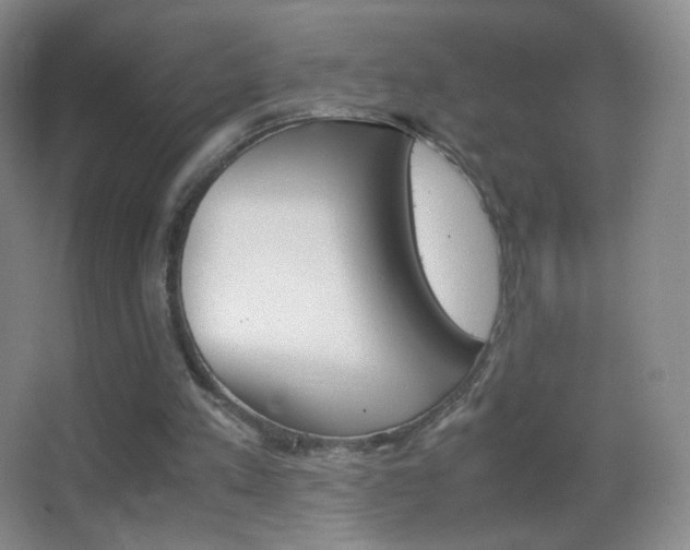 X0000062900197200601131409