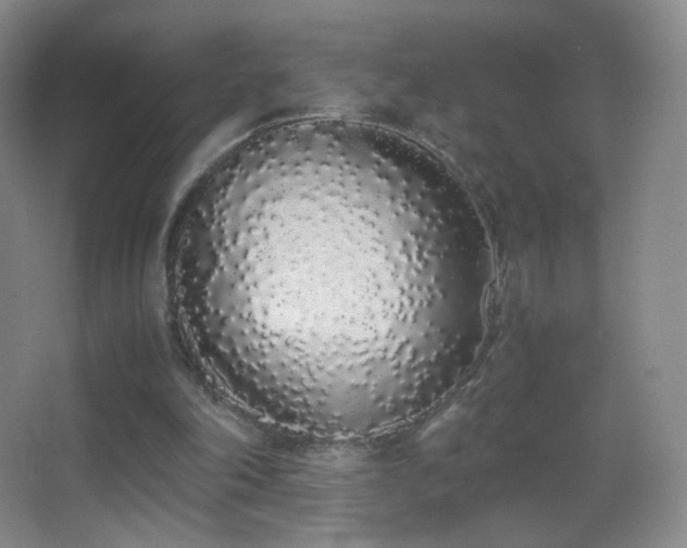 X0000062900198200601131409