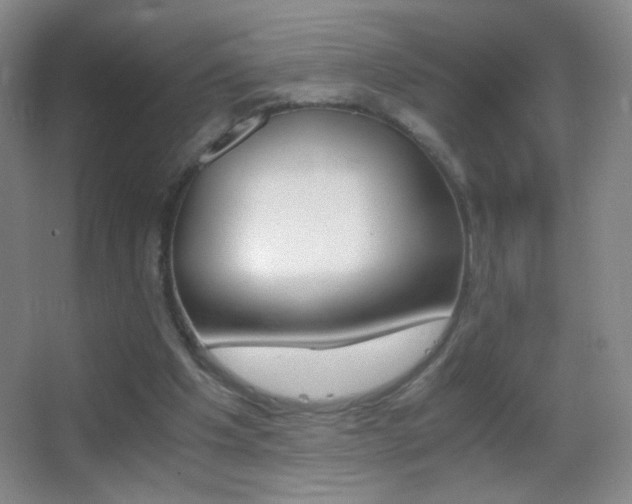 X0000062900201200601131409
