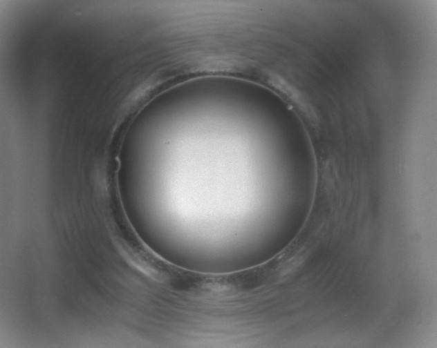 X0000062900203200601131409