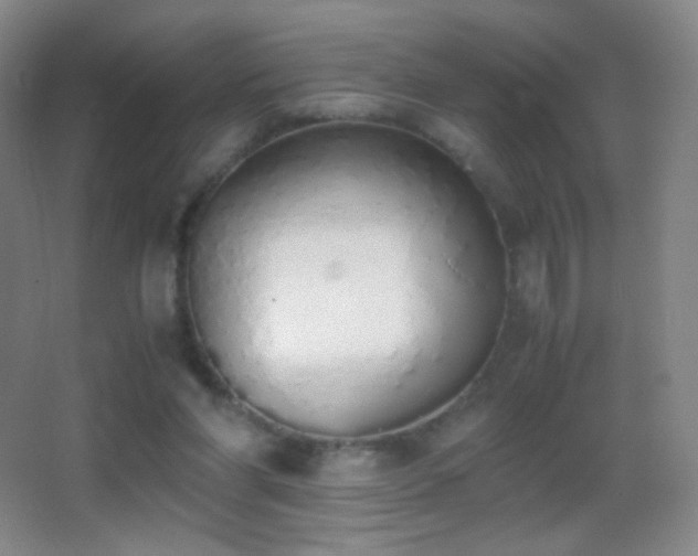 X0000062900206200601131409