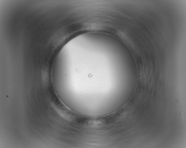 X0000062900208200601131409
