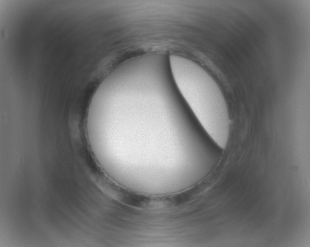 X0000062900209200601131409