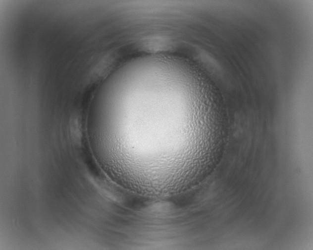 X0000062900210200601131409