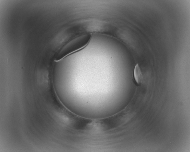 X0000062900211200601131409