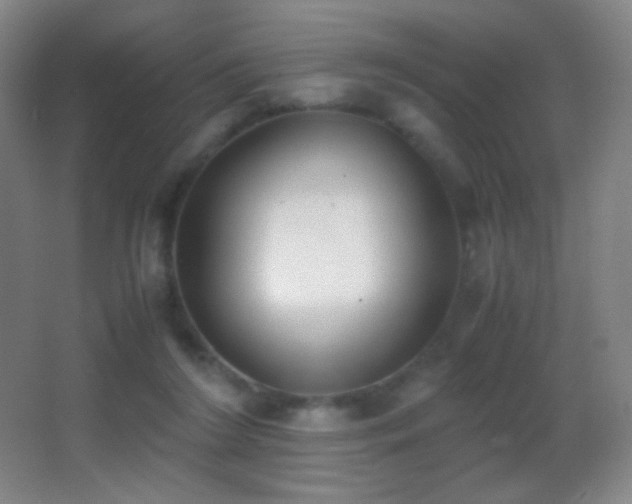 X0000062900212200601131409