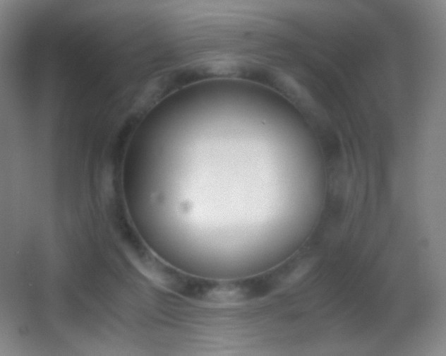 X0000062900213200601131409