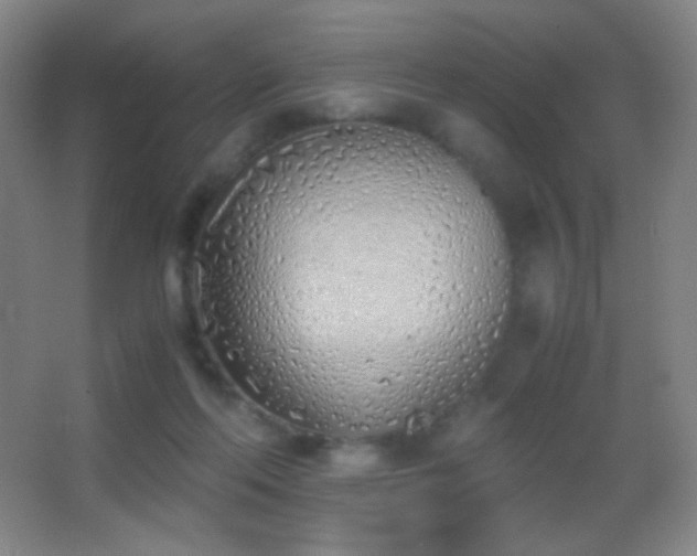 X0000062900214200601131409