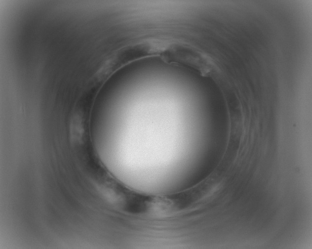 X0000062900215200601131409