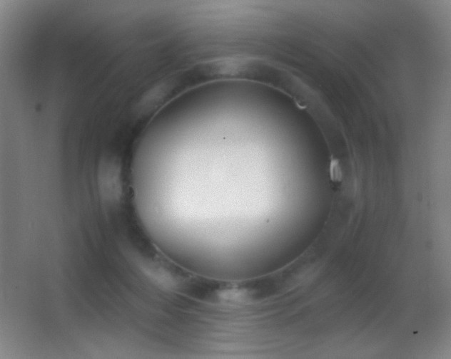 X0000062900216200601131409