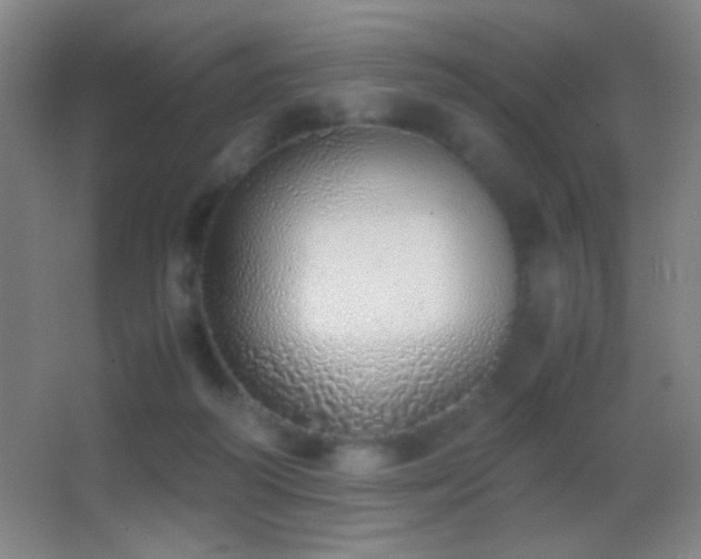 X0000062900218200601131409