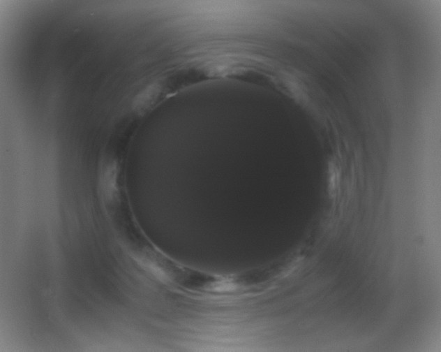 X0000062900219200601131409