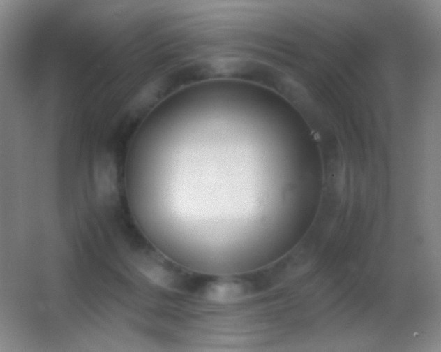X0000062900220200601131408