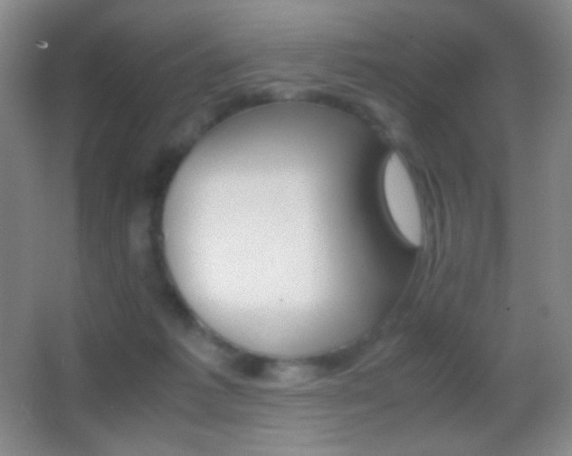 X0000062900221200601131408