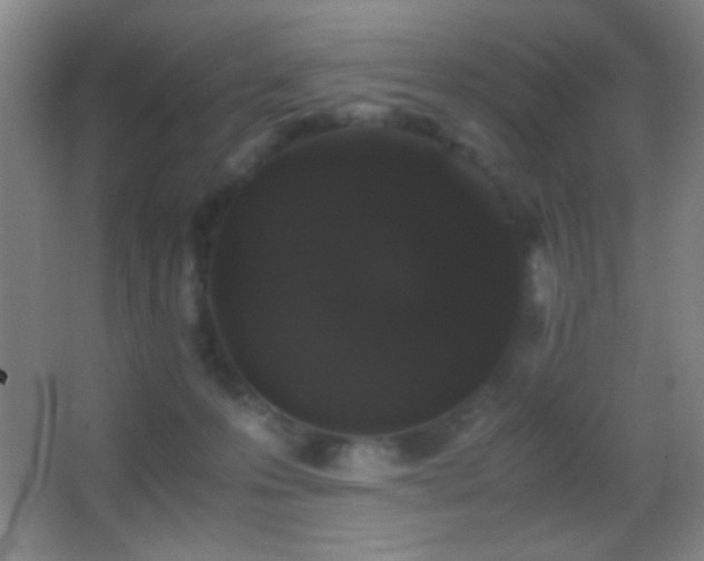 X0000062900223200601131408