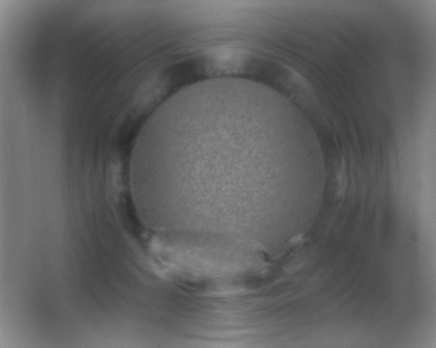 X0000062900224200601131408