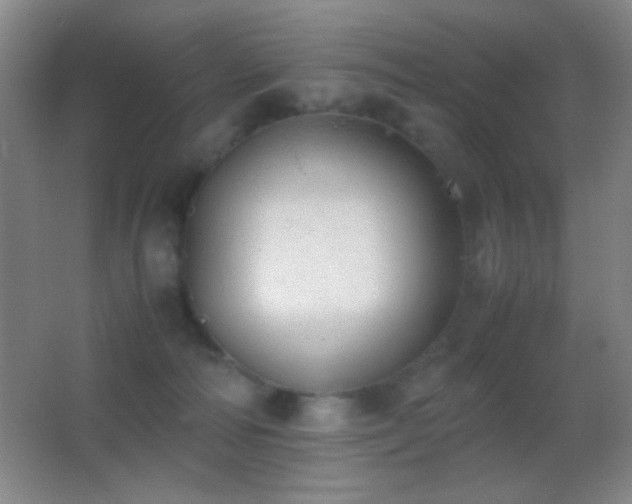 X0000062900226200601131408