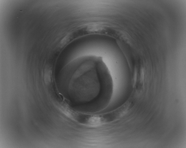 X0000062900227200601131408