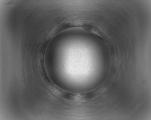X0000062900229200601131408