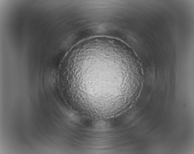 X0000062900230200601131408