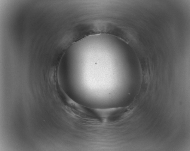 X0000062900233200601131408