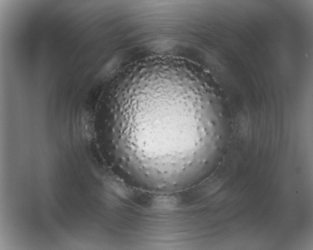 X0000062900234200601131408