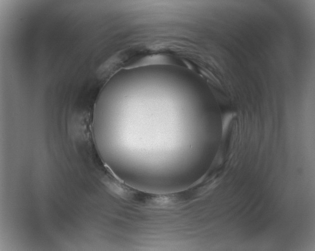X0000062900237200601131408