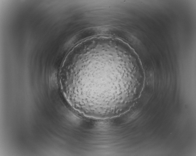 X0000062900238200601131408