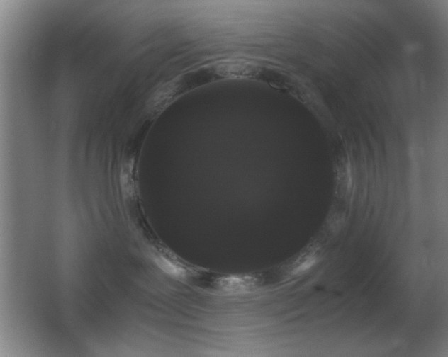 X0000062900239200601131408