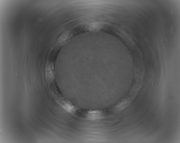X0000062900240200601131408