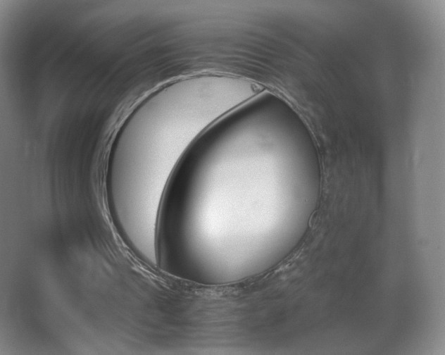 X0000062900241200601131407