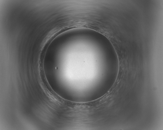X0000062900242200601131407