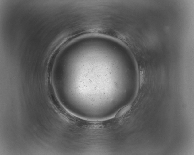 X0000062900243200601131407