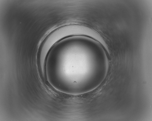 X0000062900244200601131407