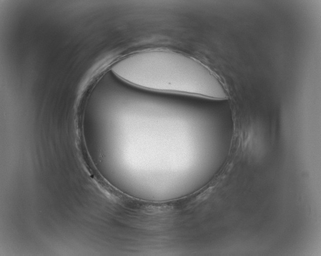 X0000062900245200601131407