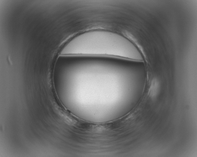 X0000062900249200601131407