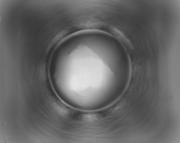 X0000062900250200601131407
