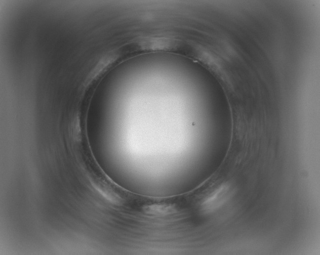 X0000062900251200601131408