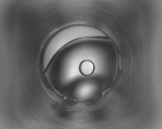 X0000062900252200601131408