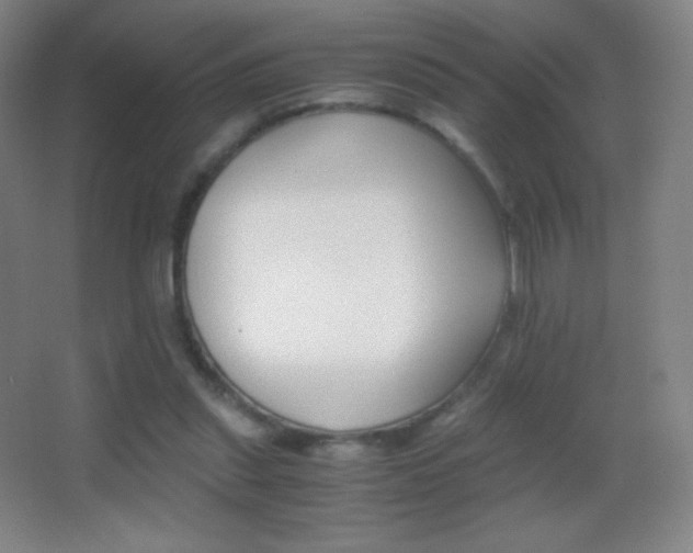 X0000062900253200601131408