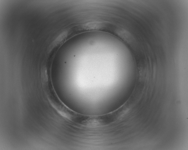 X0000062900254200601131408
