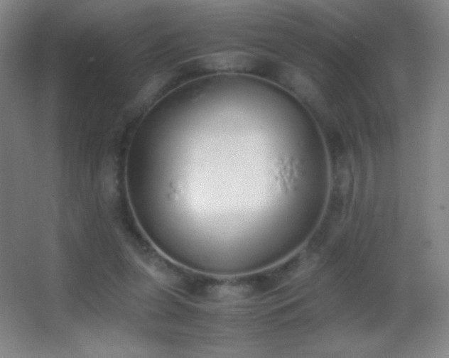 X0000062900255200601131408
