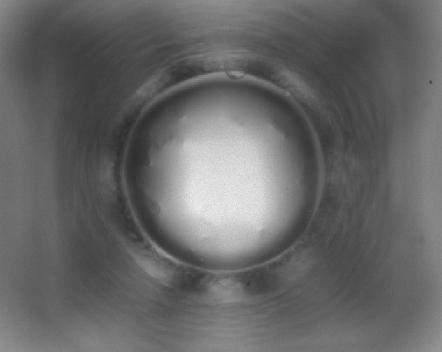X0000062900258200601131408