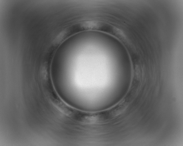 X0000062900259200601131408