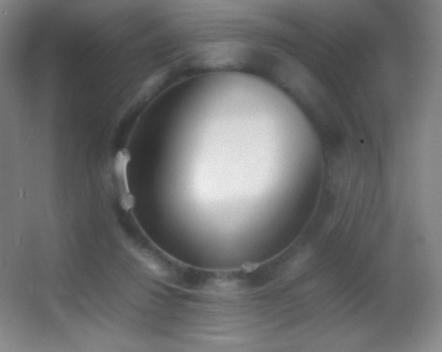 X0000062900260200601131408