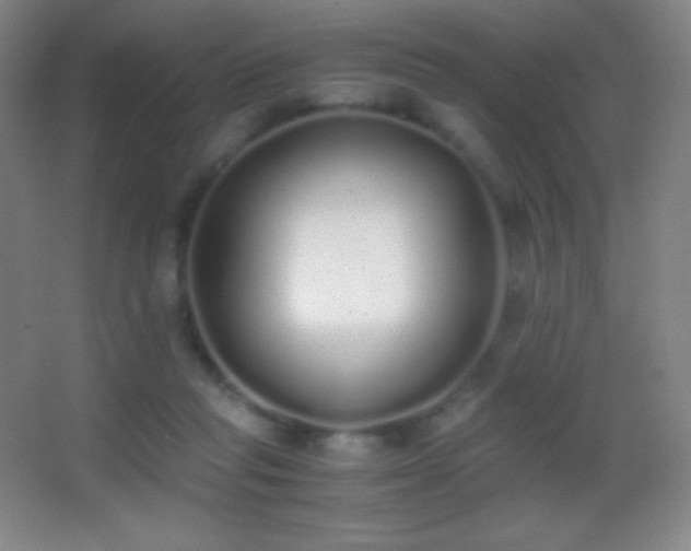 X0000062900261200601131408