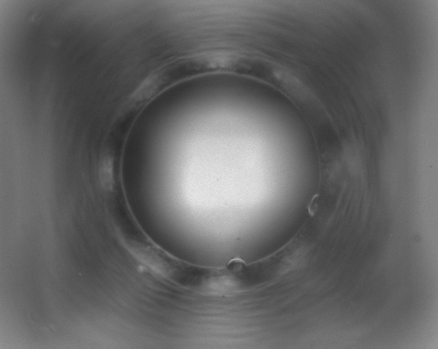X0000062900262200601131408