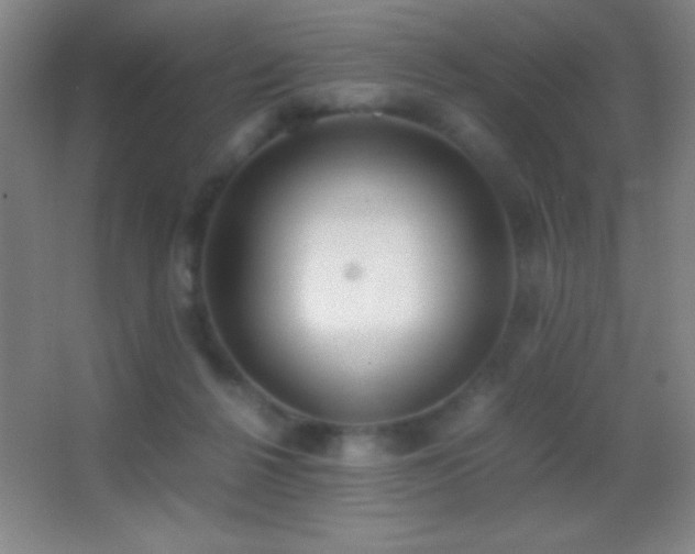 X0000062900264200601131408