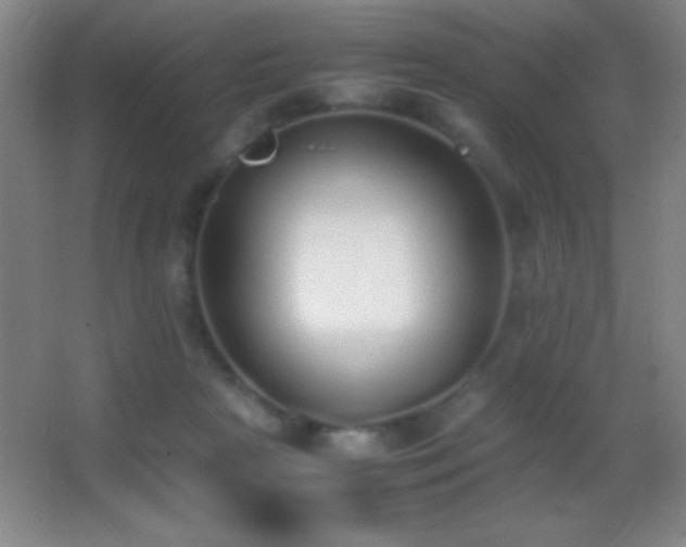 X0000062900265200601131408